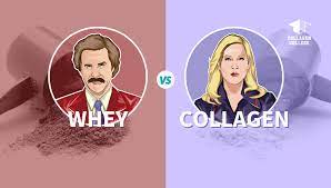 WHEY VS COLLAGEN PROTEIN